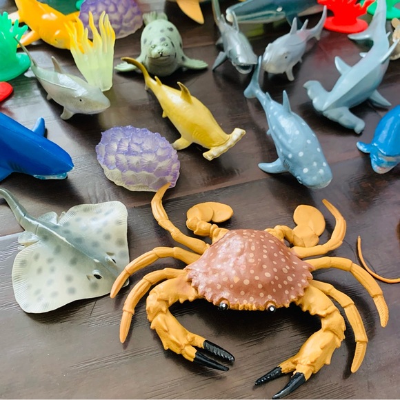 Terra by Battat Marine World Sea Life Set Toy Animal Figures Playset, 35 pieces - Picture 7 of 11